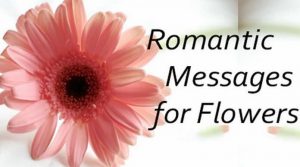 Romantic Messages for Flowers, Romantic Love Messages