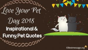 Love Your Pet Day Greeting Messages 300x172 