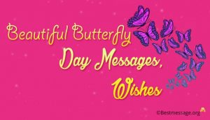 Beautiful Butterfly Day Messages, Butterfly Day Wishes, Greetings
