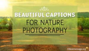 Beautiful Captions for Nature Photography – Instagram Captions
