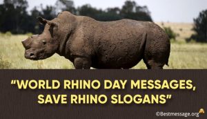 World Rhino Day Messages, Save Rhino Slogans & Quotes