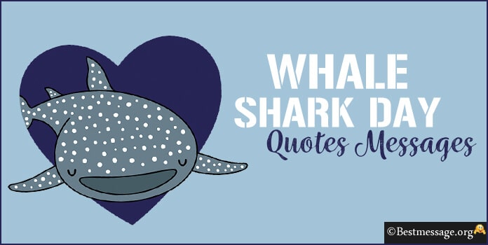 Whale Shark Day Quotes Messages, Slogans & Captions