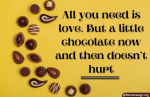 Chocolate Day Messages Wishes 300x194 